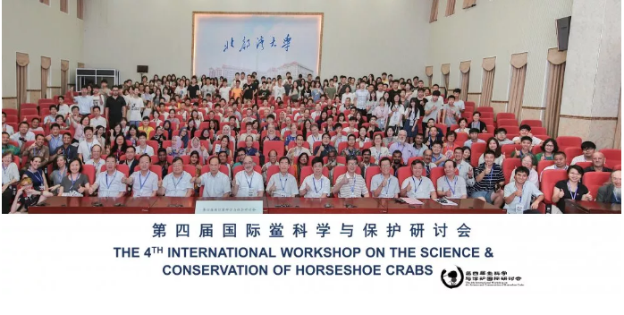 HJC黄金城(中国大陆)有限公司官网