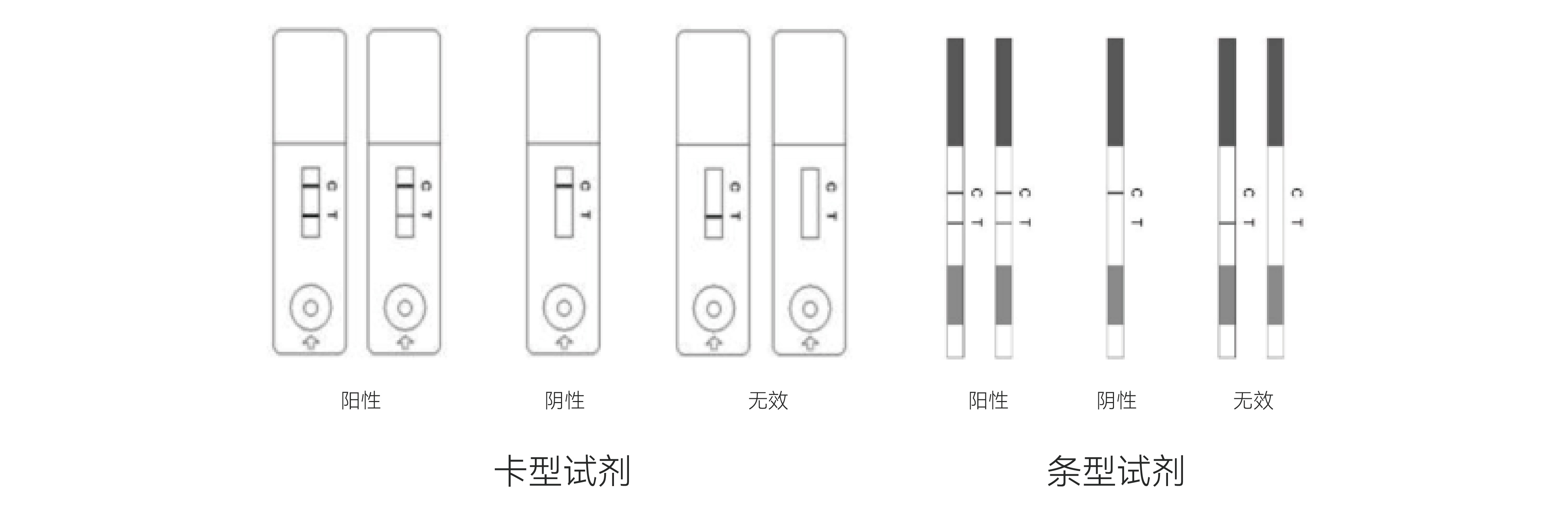 隐球菌荚膜多糖检测试剂盒(胶体金法) - 副本.jpg