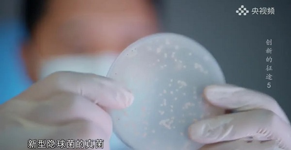 HJC黄金城(中国大陆)有限公司官网